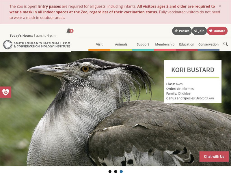 Smithsonian National Zoo: Kori Bustard Handout Smithsonian National Zoo: Kori Bustard Handout