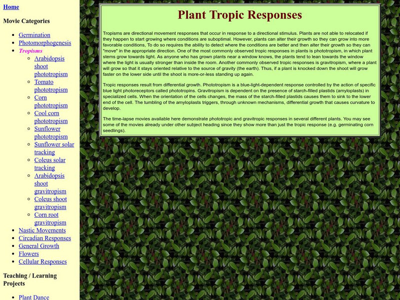 Indiana University: Plants in Motion: Tropism Instructional Video Indiana University: Plants in Motion: Tropism Instructional Video