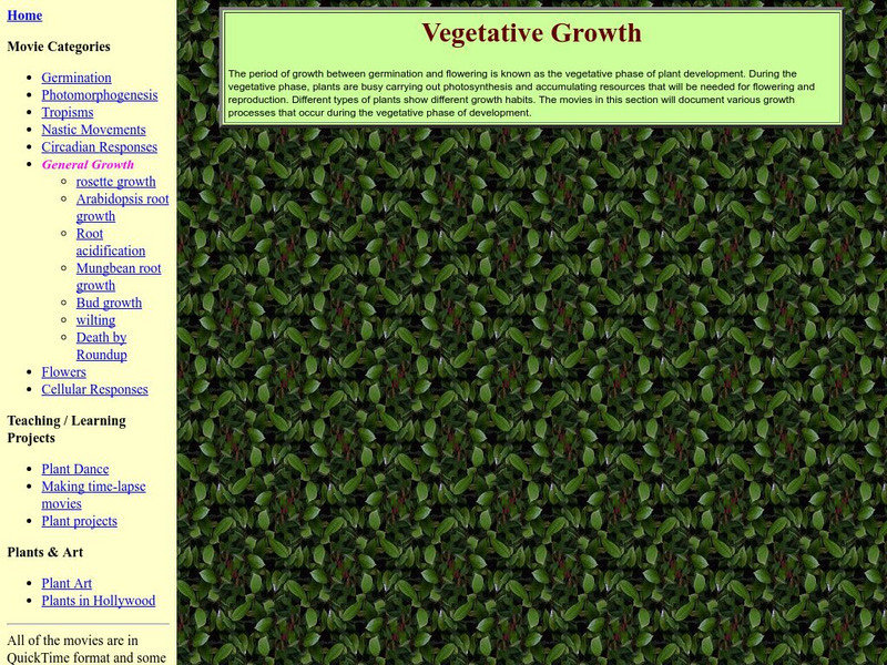 Indiana University: Plants in Motion: Vegetative Growth Instructional Video Indiana University: Plants in Motion: Vegetative Growth Instructional Video