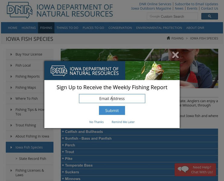 The State of Iowa: Fishes of Iowa Website The State of Iowa: Fishes of Iowa Website