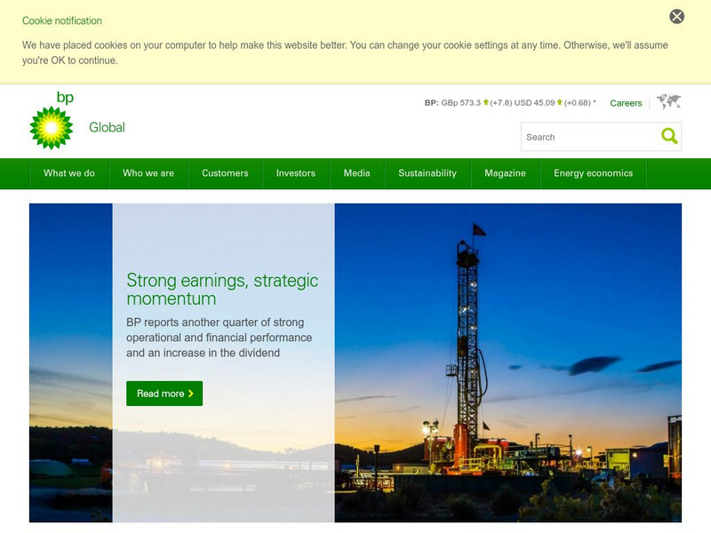 Bp: Home Page Website Bp: Home Page Website