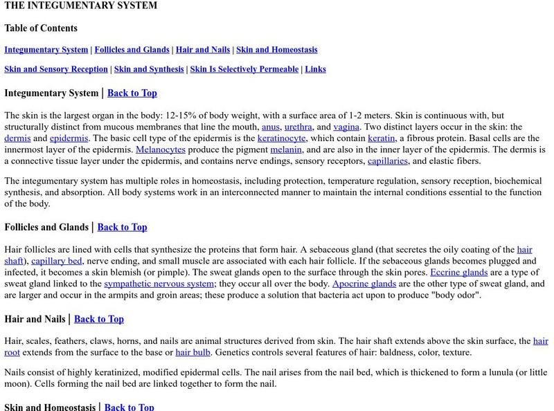 The Integumentary System eBook The Integumentary System eBook
