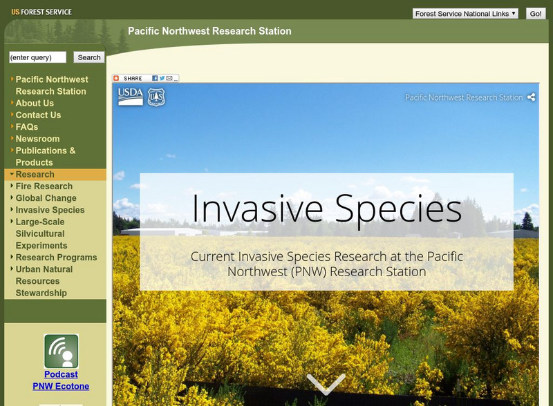 United States Forest Services: Pacific Northwest: Invasives Website United States Forest Services: Pacific Northwest: Invasives Website