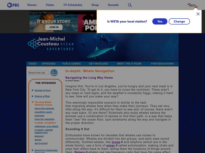 Jean Michel Cousteau: Ocean Adventures: Whale Navigation Article Jean Michel Cousteau: Ocean Adventures: Whale Navigation Article