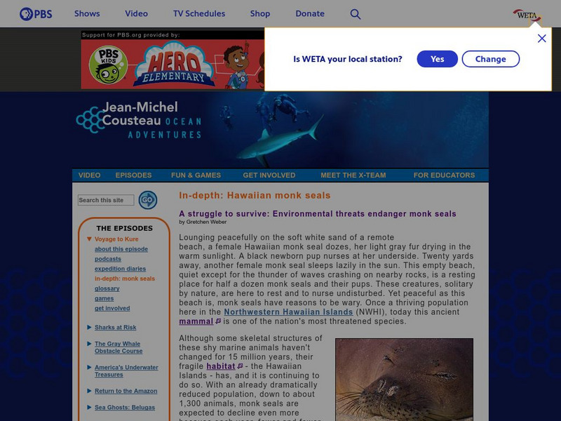 Pbs: Ocean Adventures: Hawaiian Monk Seals Article Pbs: Ocean Adventures: Hawaiian Monk Seals Article