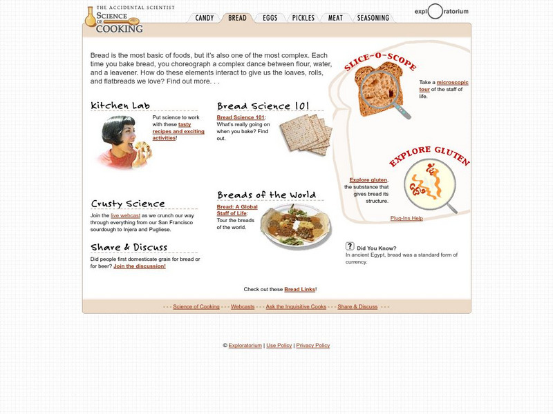 Exploratorium: Science of Cooking: Bread Science and Facts Website Exploratorium: Science of Cooking: Bread Science and Facts Website
