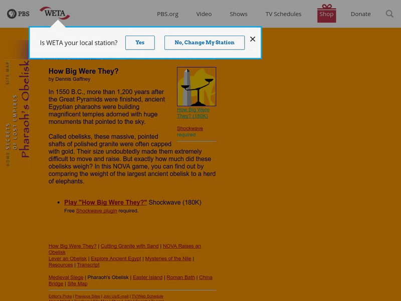 Pbs Nova: How Big Were They? Interactive Pbs Nova: How Big Were They? Interactive