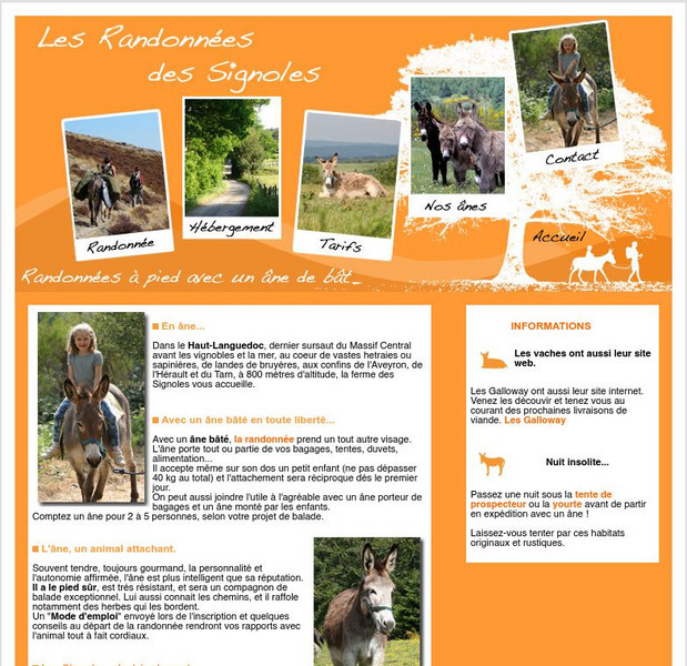 Signoles.com: Homepage Activity