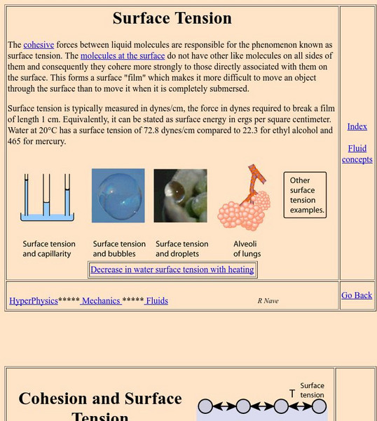Georgia State University: Hyper Physics: Surface Tension Handout Georgia State University: Hyper Physics: Surface Tension Handout