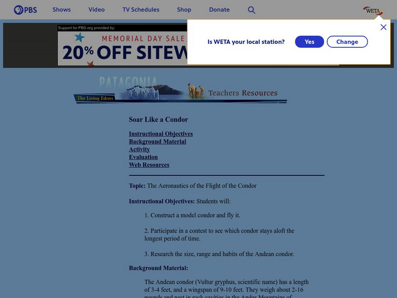 Pbs Teachers:patagonia: The Aeronautics of Condor Flight Lesson Plan Pbs Teachers:patagonia: The Aeronautics of Condor Flight Lesson Plan