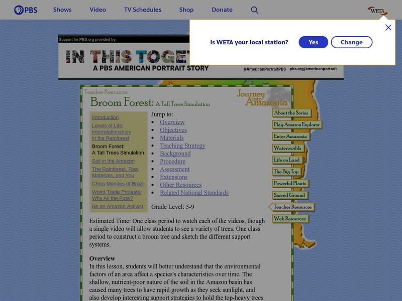 Pbs Teachers:broom Forest: A Tall Trees Simulation Lesson Plan Pbs Teachers:broom Forest: A Tall Trees Simulation Lesson Plan