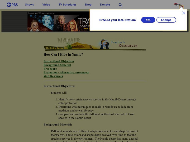 Pbs Teachers:how Can I Hide in Namib? Handout Pbs Teachers:how Can I Hide in Namib? Handout