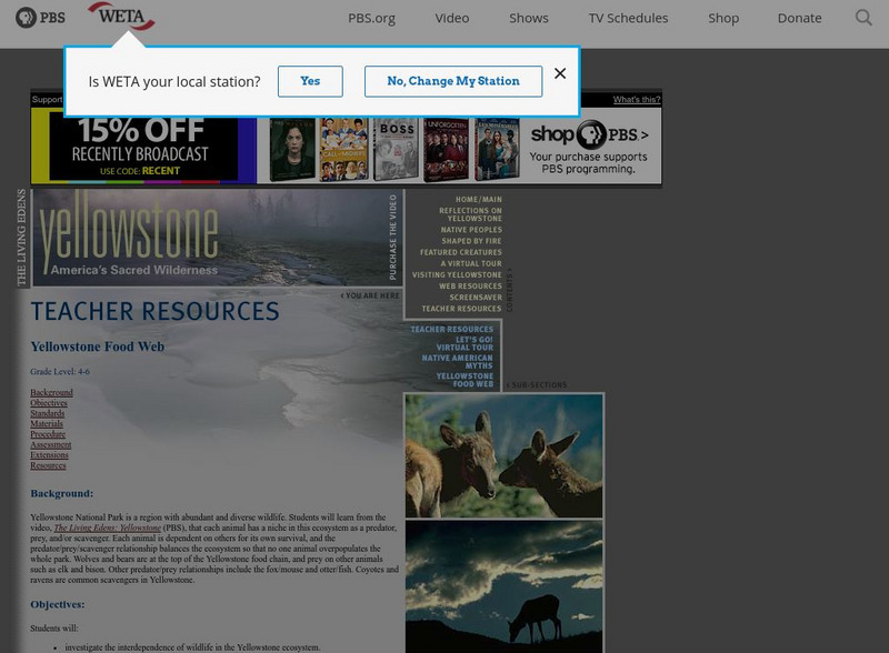 Pbs Teachers:yellowstone: Yellowstone Food Web Handout Pbs Teachers:yellowstone: Yellowstone Food Web Handout