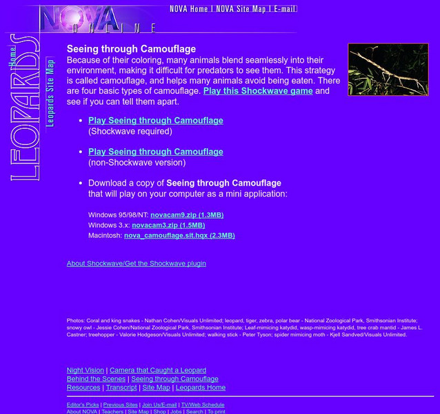 Pbs Teachers:leopards of the Night: Seeing Through Camouflage Interactive Pbs Teachers:leopards of the Night: Seeing Through Camouflage Interactive