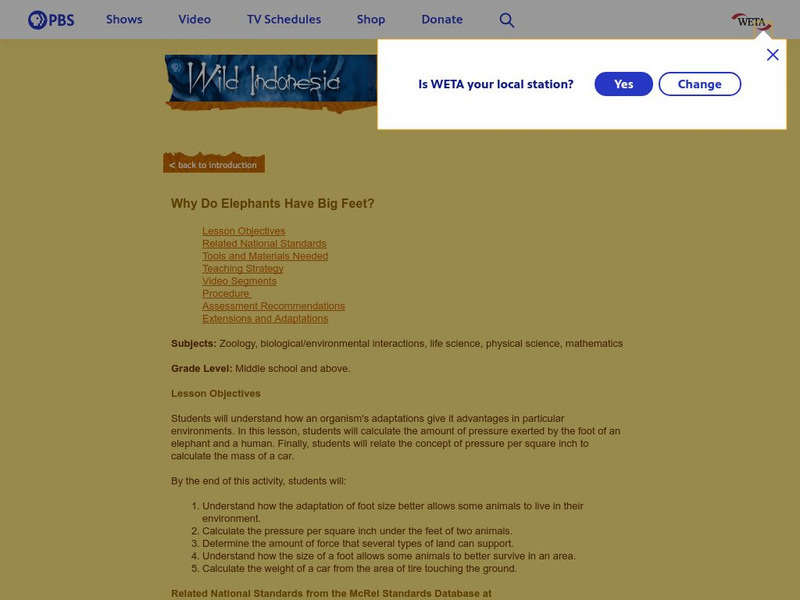 Pbs Teachers: Why Do Elephants Have Big Feet? Lesson Plan Pbs Teachers: Why Do Elephants Have Big Feet? Lesson Plan