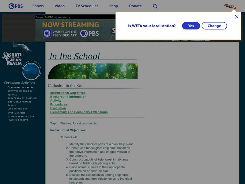 Pbs Teachers:cathedral in the Sea: Construct a Model Kelp Forest Lesson Plan Pbs Teachers:cathedral in the Sea: Construct a Model Kelp Forest Lesson Plan