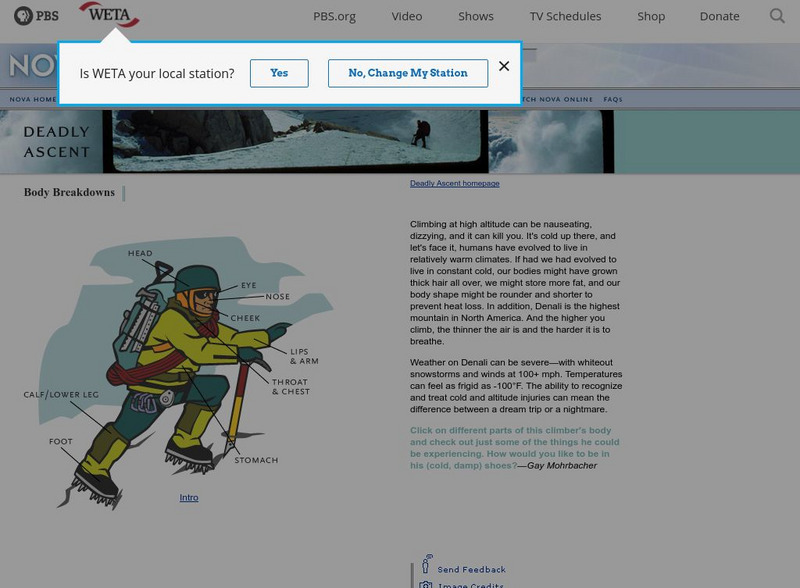 Pbs Teachers: Deadly Ascent: Body Breakdowns Website Pbs Teachers: Deadly Ascent: Body Breakdowns Website