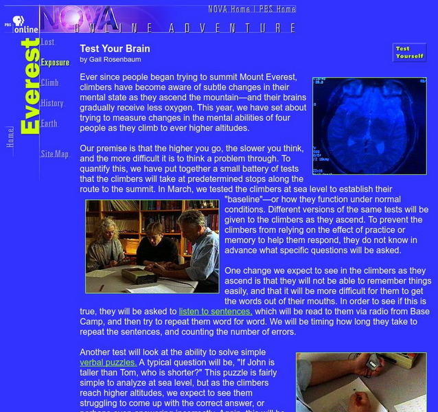 Pbs Teachers: Test Your Brain Activity