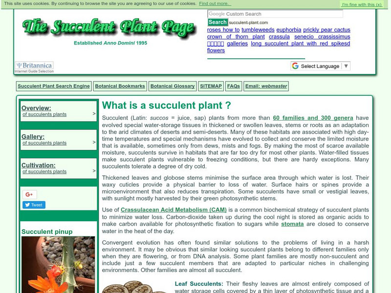 R.j. Hodgkiss: The Succulent Page Page Website R.j. Hodgkiss: The Succulent Page Page Website