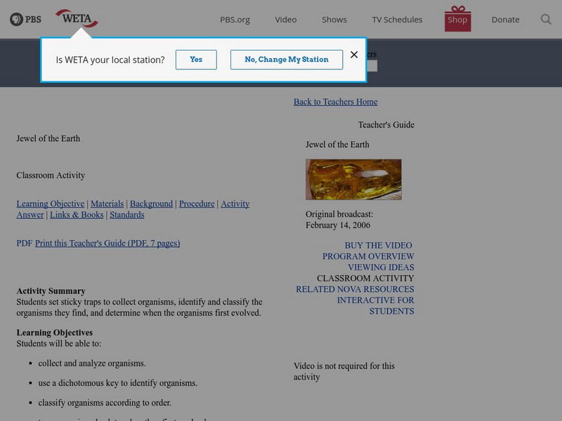 Pbs Teachers: Jewel of the Earth Lesson Plan Pbs Teachers: Jewel of the Earth Lesson Plan