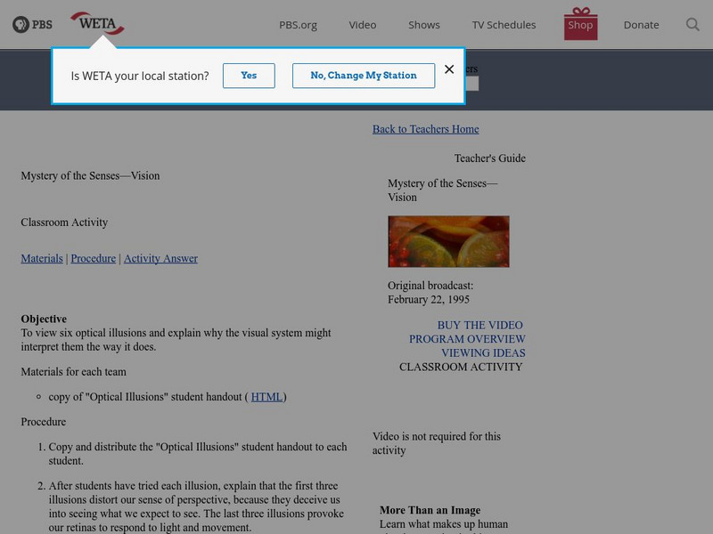 Pbs Teachers: Mystery of the Senses Vision Activity