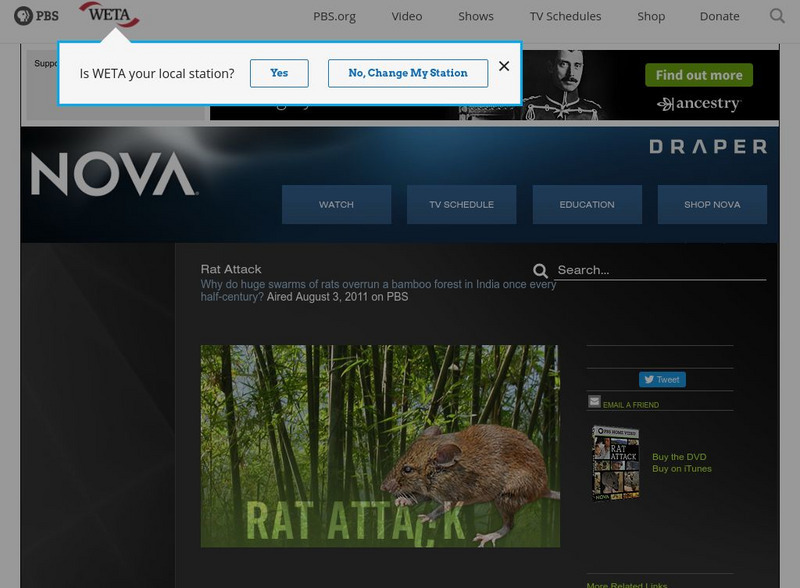 Pbs Nova: Rat Attack Instructional Video Pbs Nova: Rat Attack Instructional Video