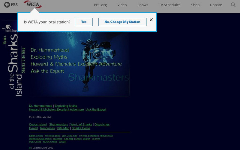 Pbs: Sharkmaster Activity