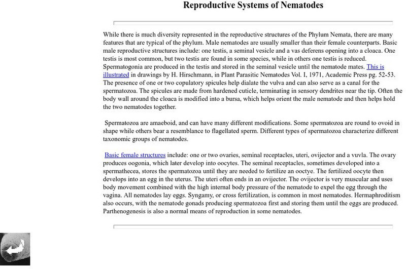 Unl: Reproductive Systems of Nematodes Handout