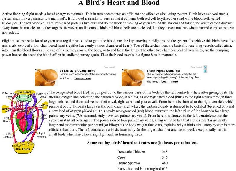 Earth Life: A Bird's Heart and Blood Handout Earth Life: A Bird's Heart and Blood Handout
