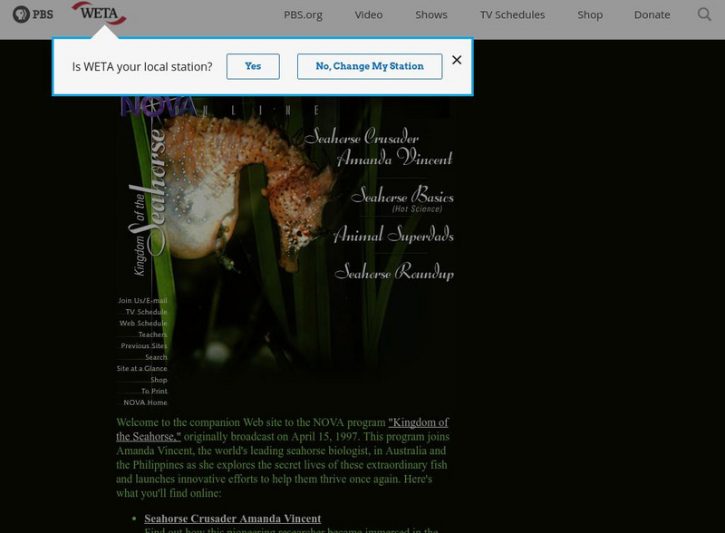Pbs: Kingdom of the Seahorse Activity Pbs: Kingdom of the Seahorse Activity