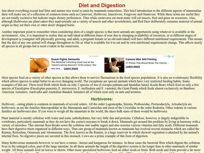 Earth Life: Mammals: Diet and Digestion Handout