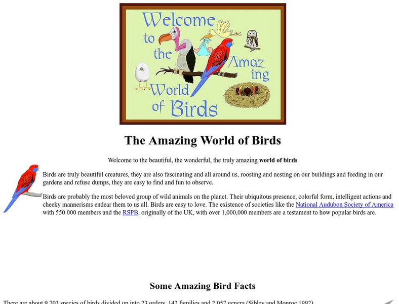 The Amazing World of Birds Website