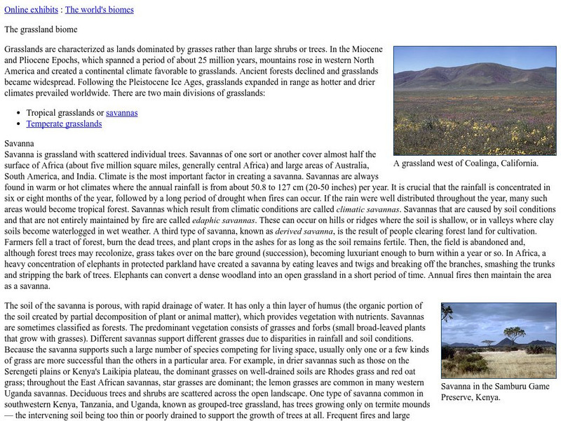 Ucmp: The Grassland Biome Handout Ucmp: The Grassland Biome Handout