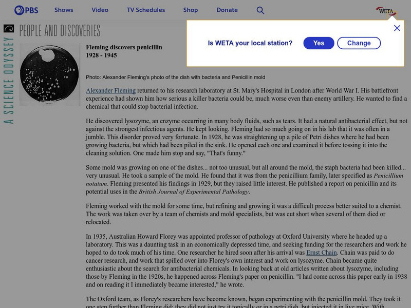 Pbs: A Science Odyssey Fleming Discovers Penicillin Handout Pbs: A Science Odyssey Fleming Discovers Penicillin Handout