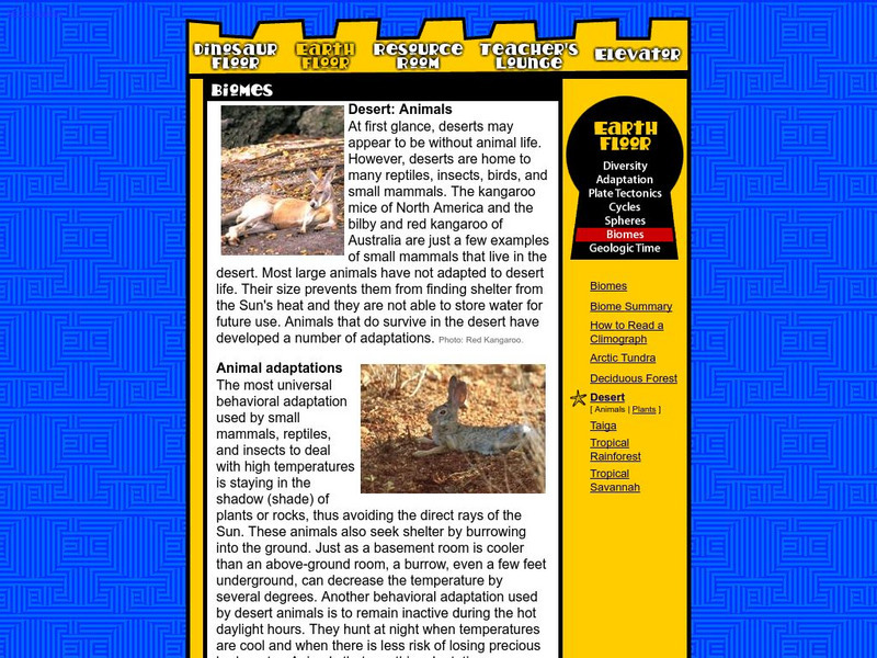 Earth Floor: Desert Biome: Animals Handout Earth Floor: Desert Biome: Animals Handout