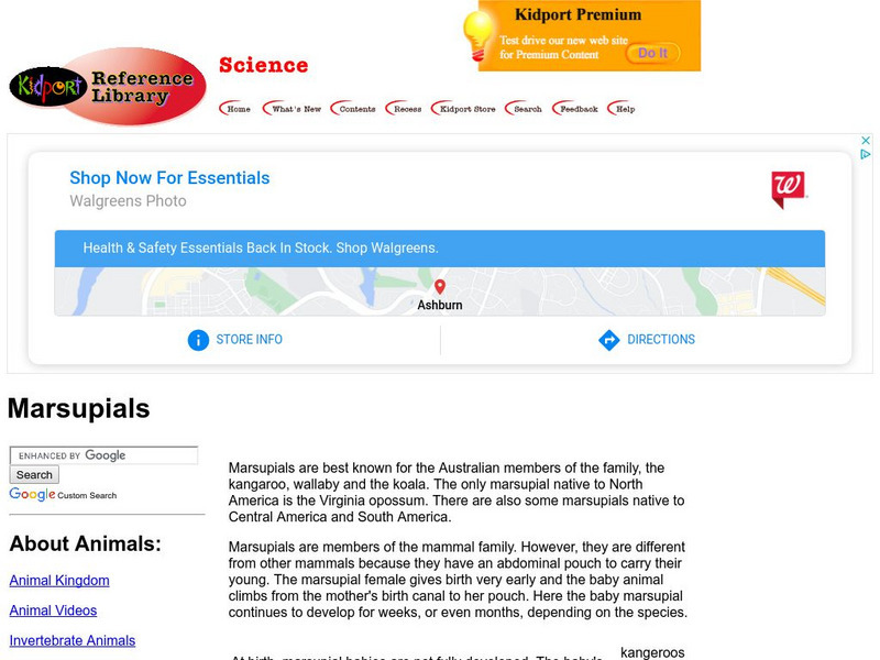 Kidport: Marsupials (Kangeroo, Koala and Wombat) Handout