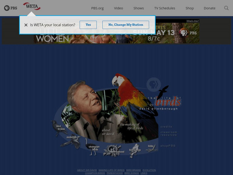 Pbs: The Life of Birds Website Pbs: The Life of Birds Website