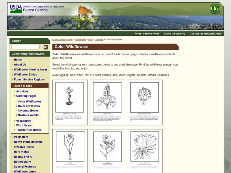 U.s. Forest Service: Celebrating Wildflowers: Just for Kids: Color Wildflowers Unknown Type U.s. Forest Service: Celebrating Wildflowers: Just for Kids: Color Wildflowers Unknown Type