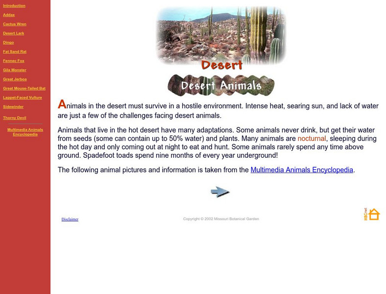 Missouri Botanical Garden: Animals of the Desert Handout Missouri Botanical Garden: Animals of the Desert Handout