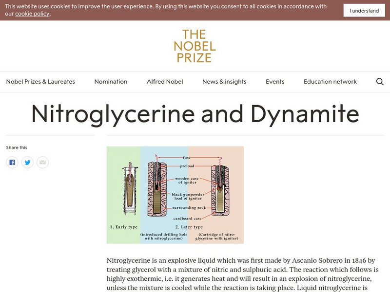 The Nobel Prize: Nitroglycerine and Dynamite Graphic