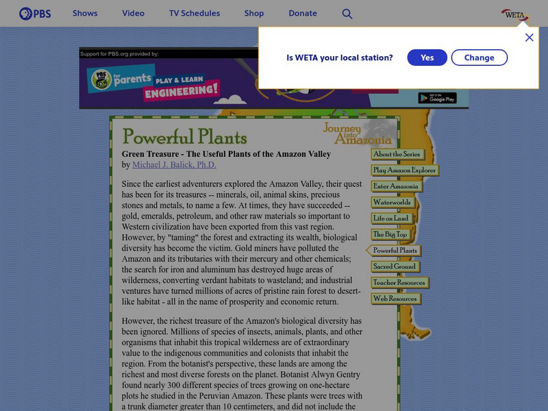 Pbs Online: Journey Into Amazonia's Powerful Plants Article Pbs Online: Journey Into Amazonia's Powerful Plants Article
