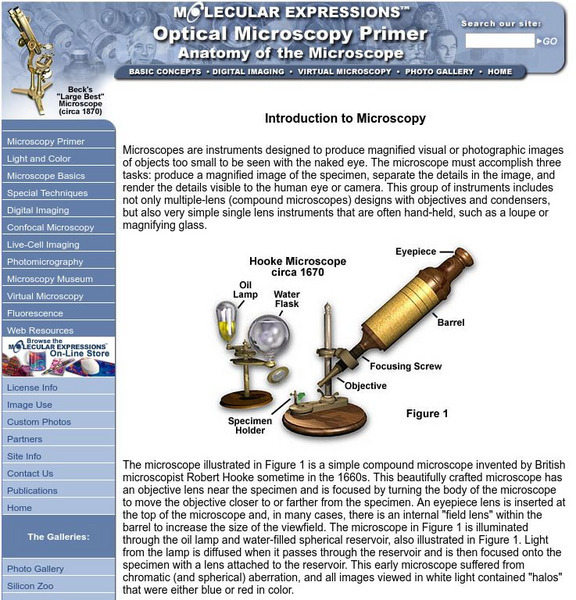 Florida State University: Introduction to Microscopy Handout Florida State University: Introduction to Microscopy Handout