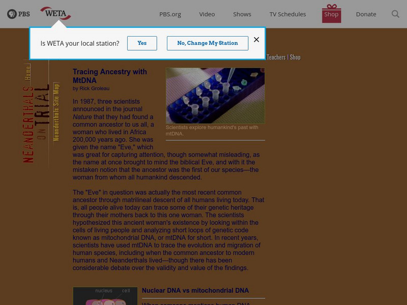 Tracing Ancestry With Mt Dna Website Tracing Ancestry With Mt Dna Website
