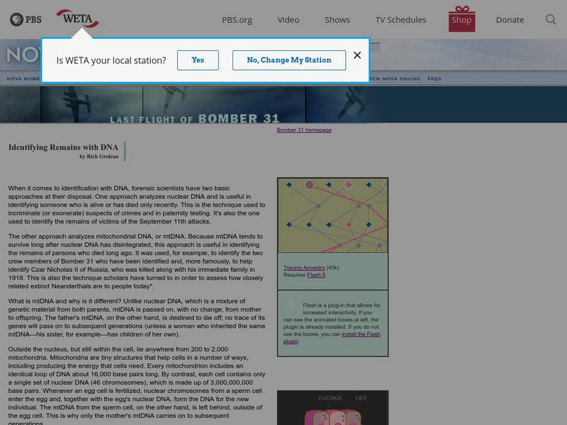 Nova: Identifying Remains With Dna Handout