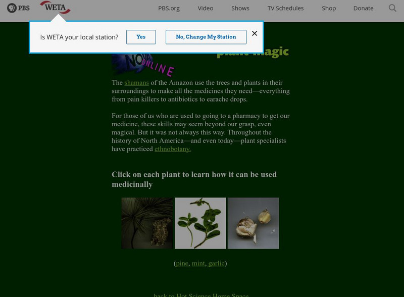 Nova: Plant Magic Handout Nova: Plant Magic Handout