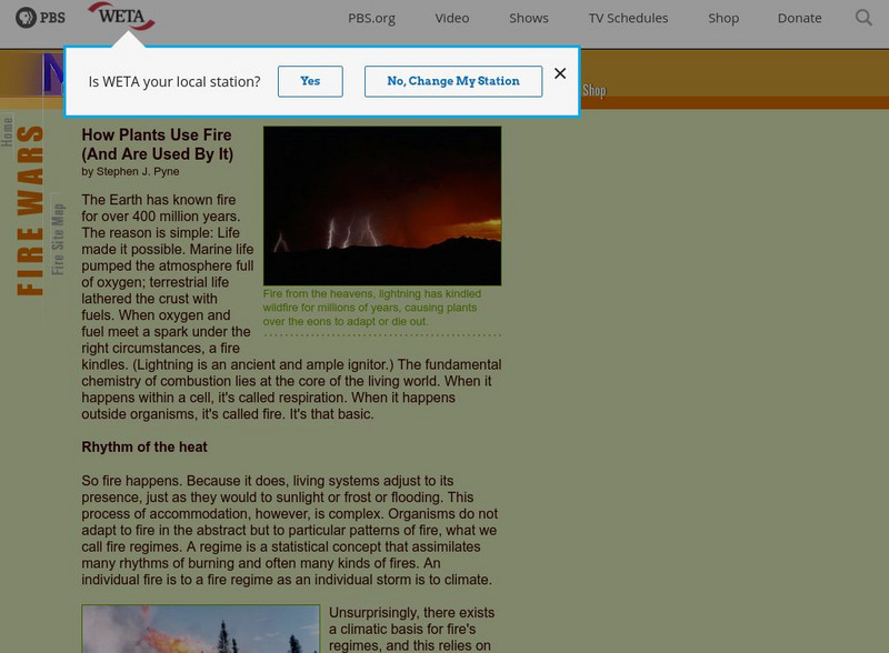 Nova: How Plants Use Fire Website Nova: How Plants Use Fire Website