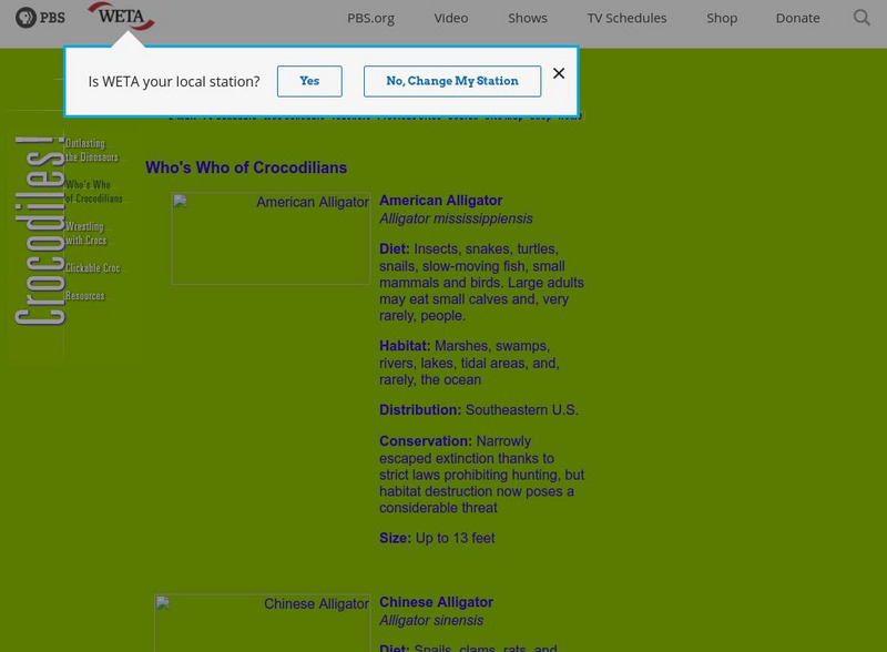 Pbs: Who's Who of Crocodilians? Handout Pbs: Who's Who of Crocodilians? Handout