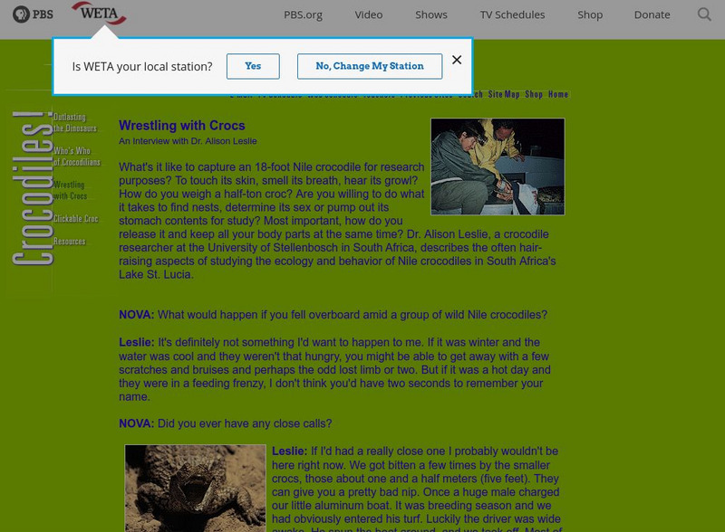 Pbs Nova Online: Wresting With Crocs Primary