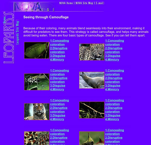 Seeing Through Camouflage Graphic