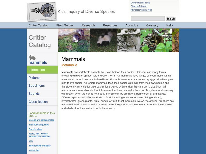 Bio Kids Critter Catalog: Mammals Handout Bio Kids Critter Catalog: Mammals Handout